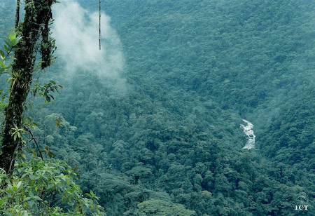 Mirador del Río La Angostura
