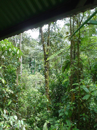 Teleférico del bosque lluvioso
