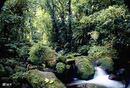 Braulio Carrillo National Park2