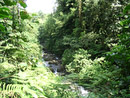 Quebrada González Parque Nacional