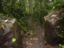 Recorrido por los del senderos Parque Nacional