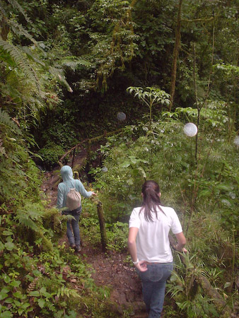Senderos en el Mirador de Quetzales