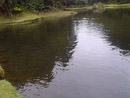 Lagunas con truchas