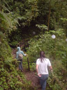 Senderos en el Mirador de Quetzales