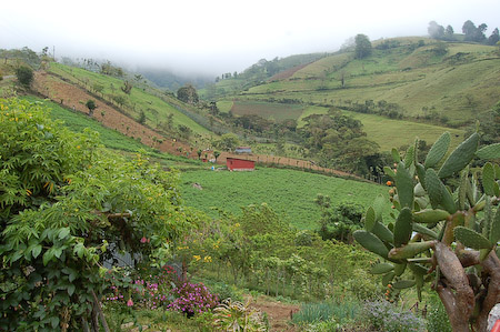 Agricultura