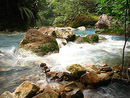 Vegetación del Parque Nacional